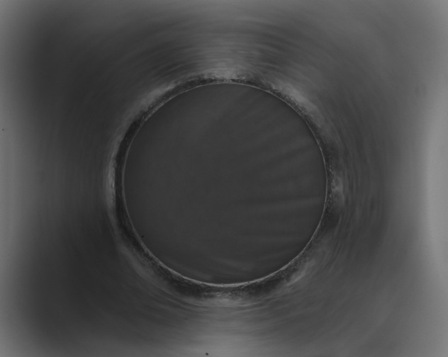 X0000089440678200706291425