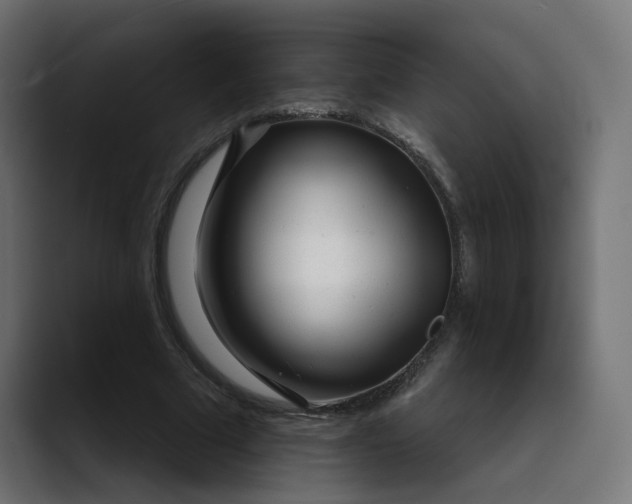 X0000089440681200706291425