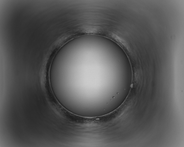 X0000089440682200706291425