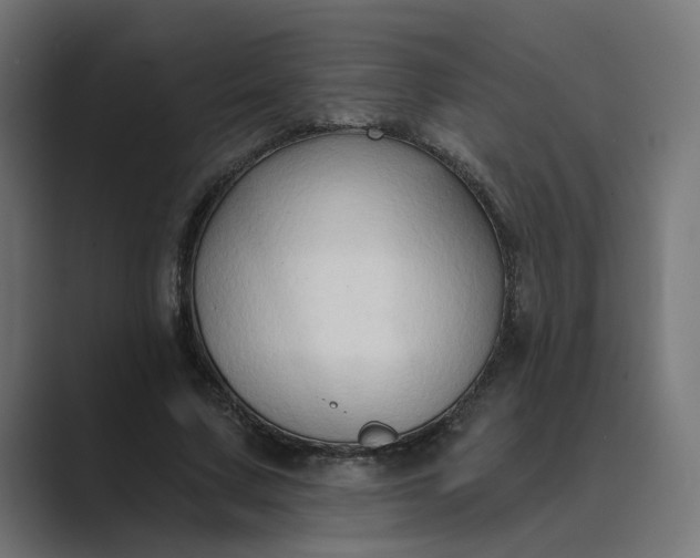 X0000089440683200706291425