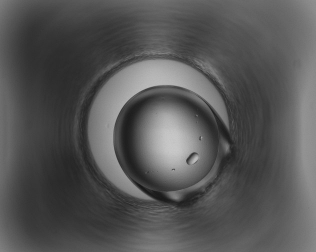 X0000089440684200706291425