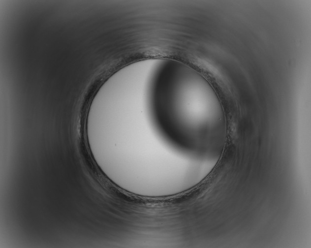 X0000089440686200706291425