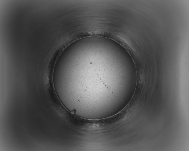 X0000089440687200706291425