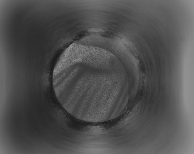 X0000089440689200706291425