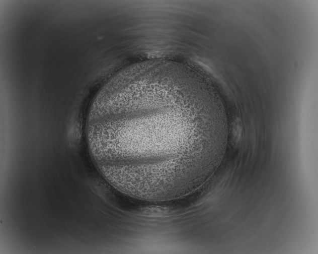 X0000089440691200706291425