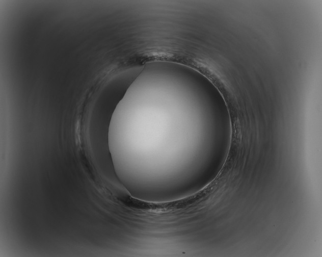 X0000089440692200706291425