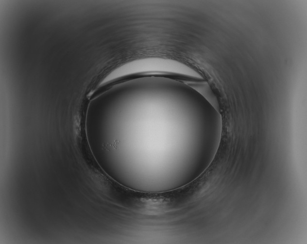 X0000089440693200706291425