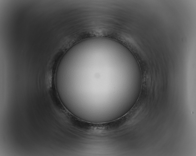 X0000089440694200706291425