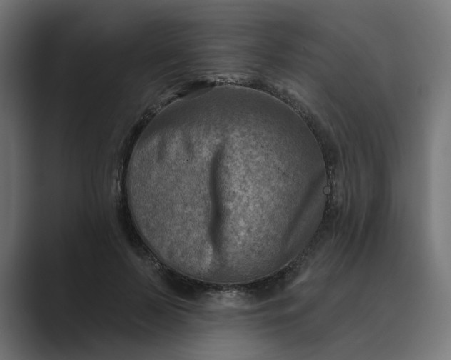 X0000089440695200706291425