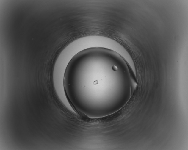 X0000089440696200706291425