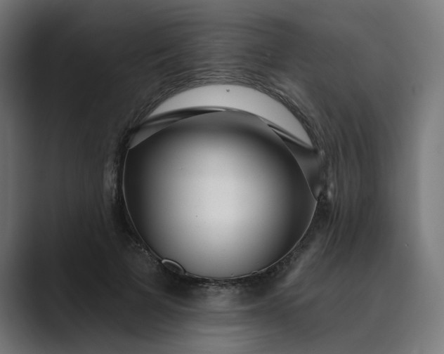 X0000089440697200706291425