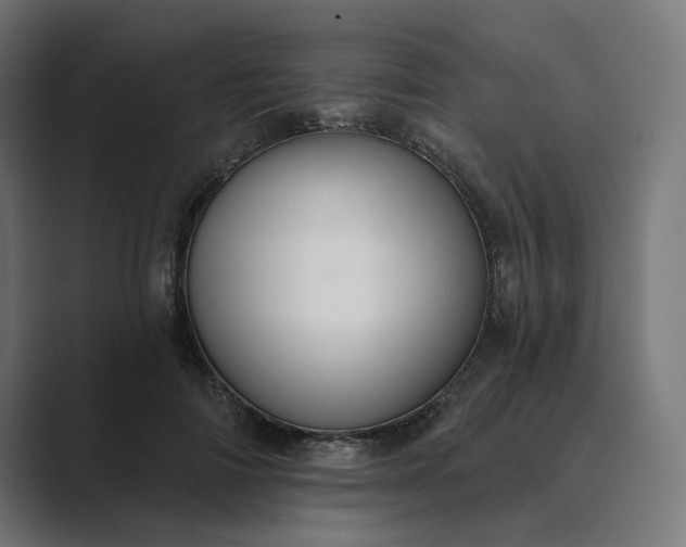 X0000089440698200706291425