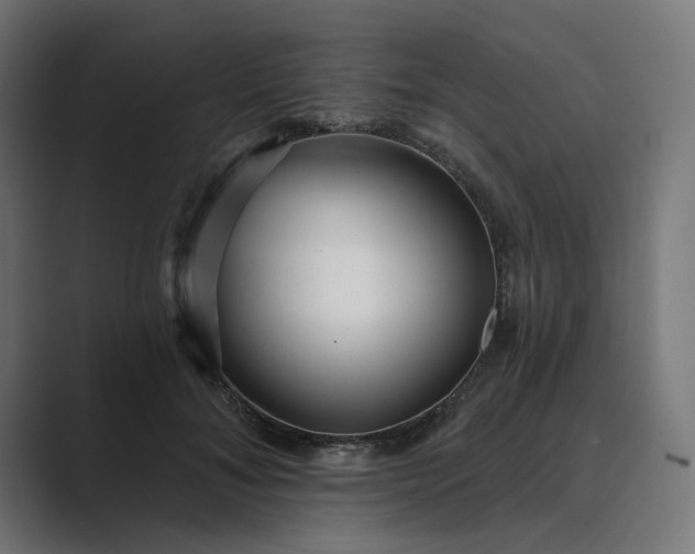 X0000089440700200706291425