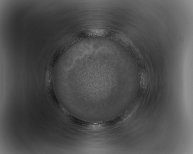 X0000089440701200706291425