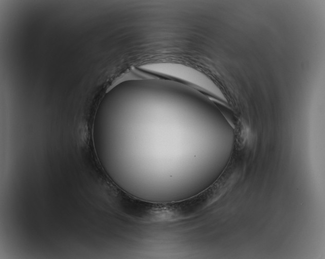 X0000089440704200706291425