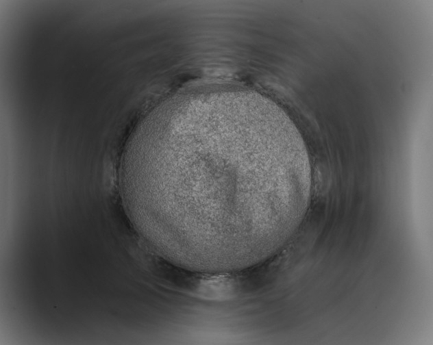 X0000089440705200706291425