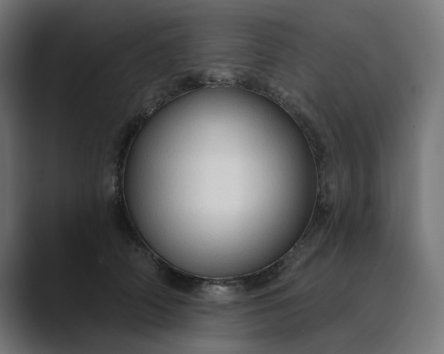 X0000089440706200706291425