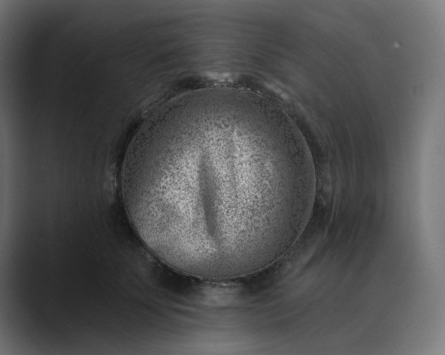 X0000089440707200706291425