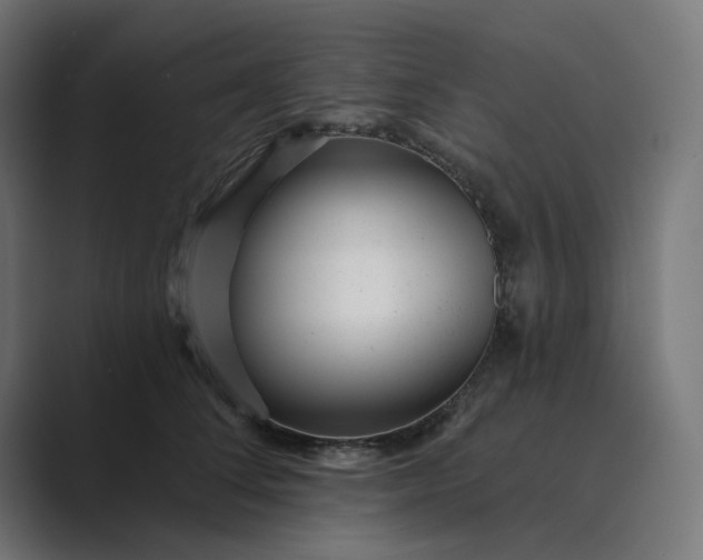 X0000089440708200706291425