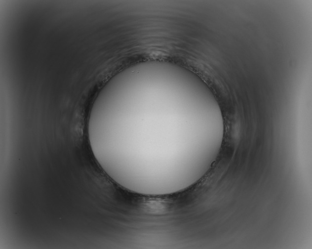 X0000089440710200706291425