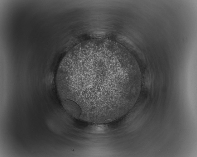 X0000089440711200706291425