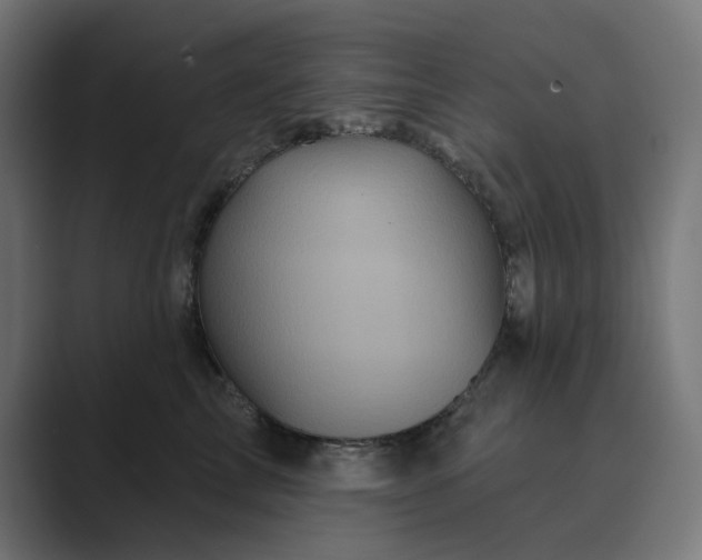 X0000089440713200706291425