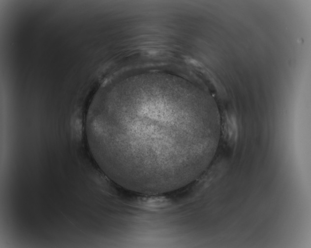 X0000089440716200706291425