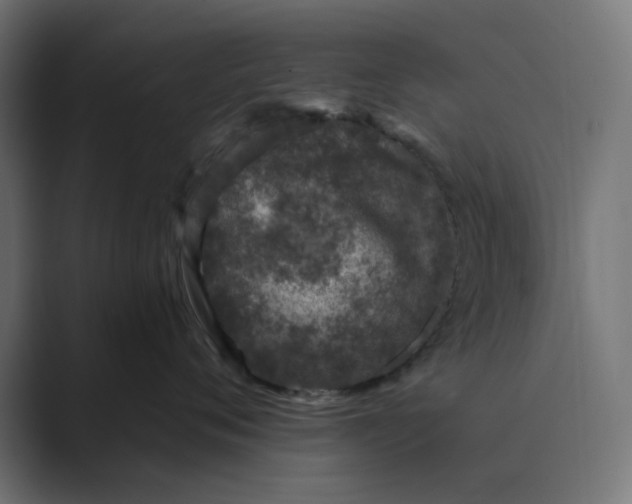 X0000089440720200706291425