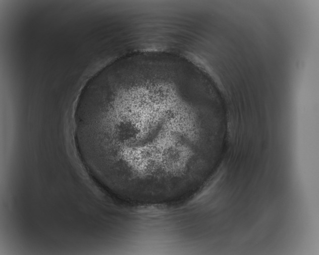 X0000089440721200706291424