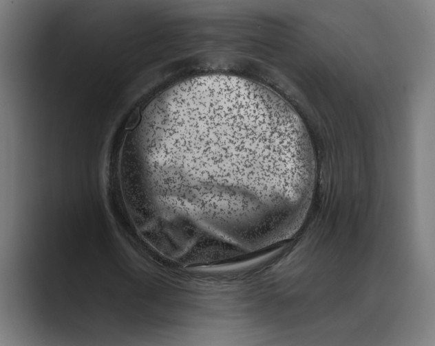 X0000089440722200706291424