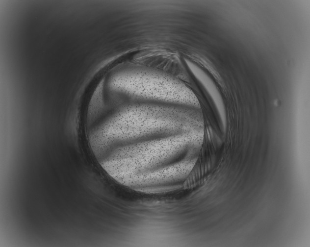 X0000089440724200706291424