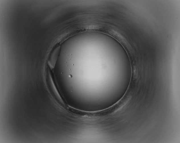 X0000089440725200706291424