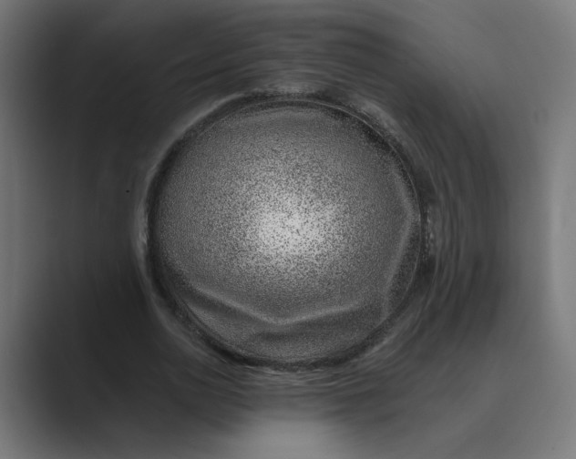 X0000089440726200706291424