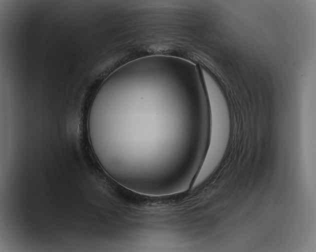 X0000089440732200706291424