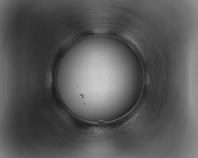 X0000089440733200706291424