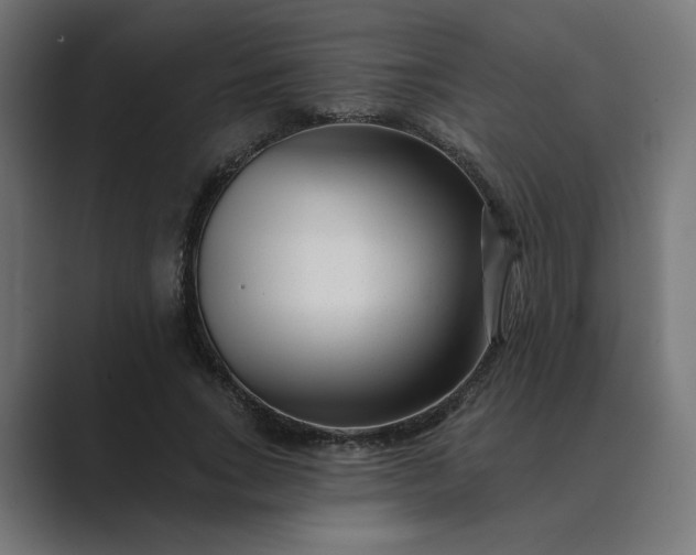 X0000089440735200706291424