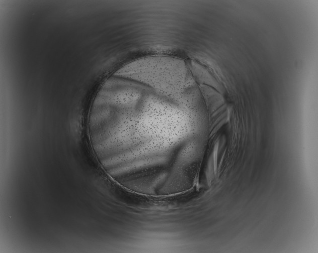 X0000089440736200706291424