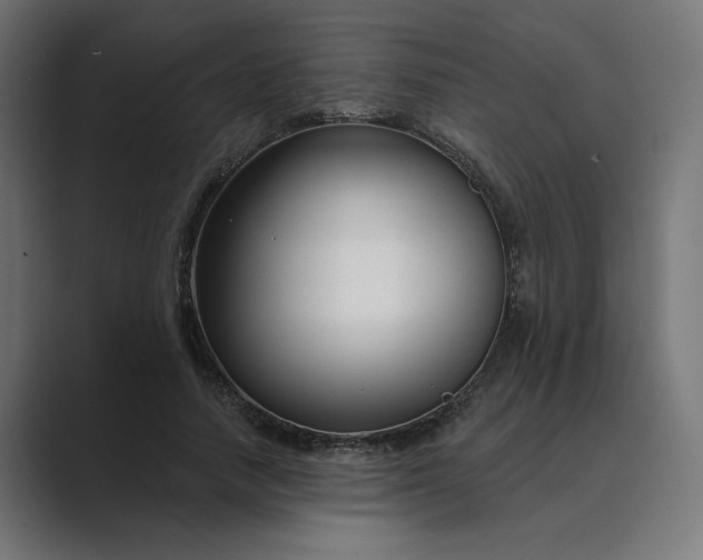 X0000089440738200706291425