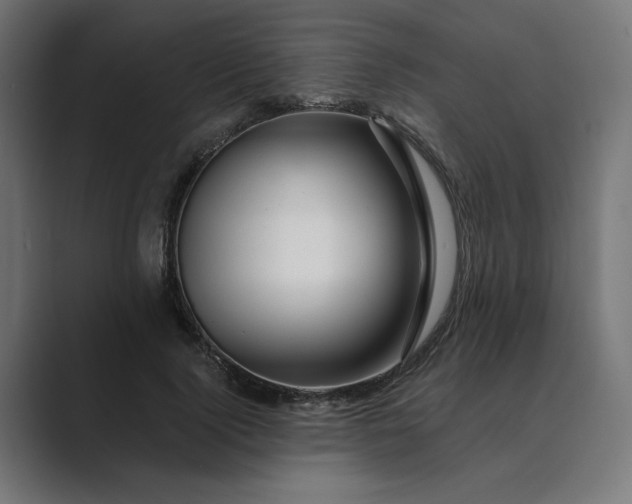 X0000089440740200706291425