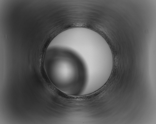 X0000089440741200706291425