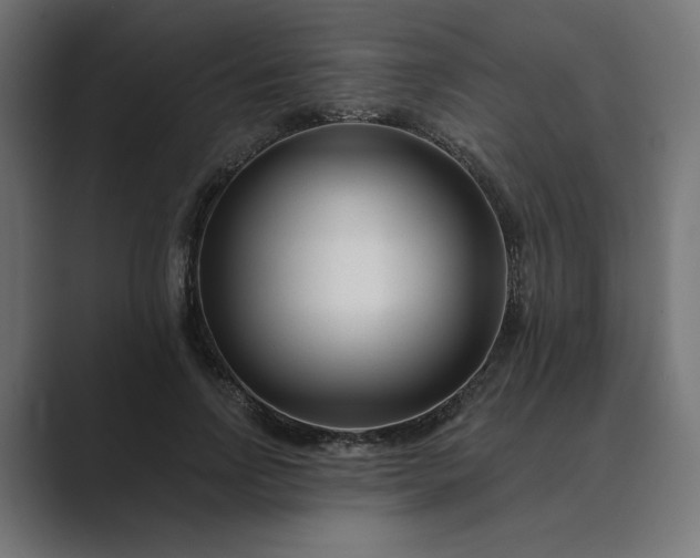 X0000089440742200706291425