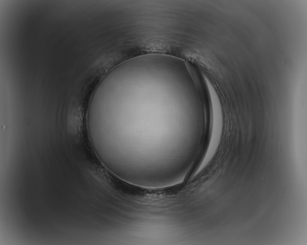 X0000089440744200706291425