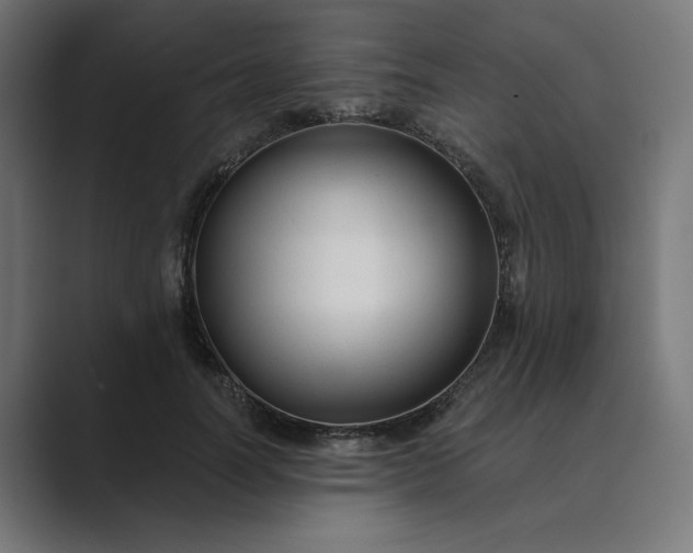 X0000089440746200706291425