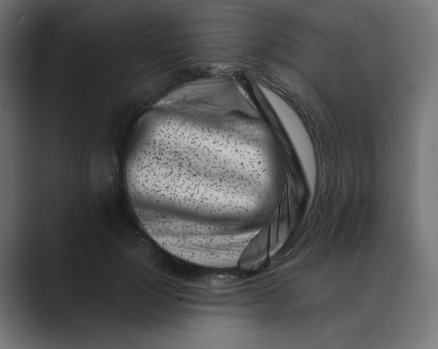 X0000089440748200706291425