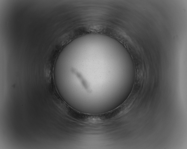 X0000089440749200706291425