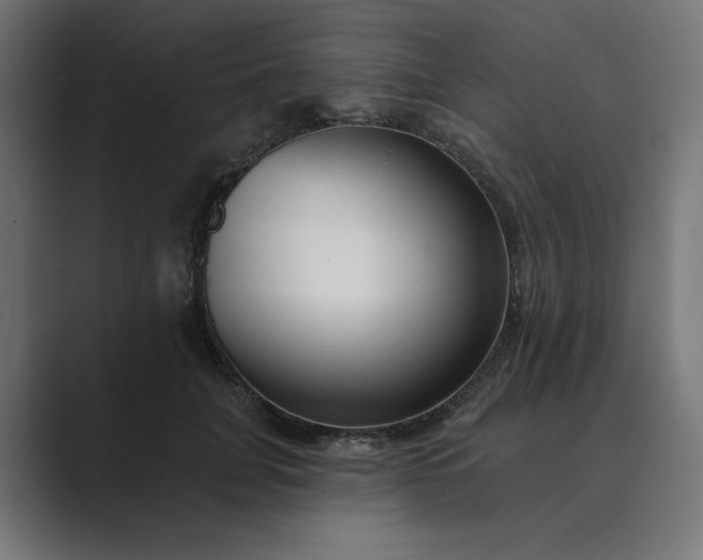 X0000089440751200706291425