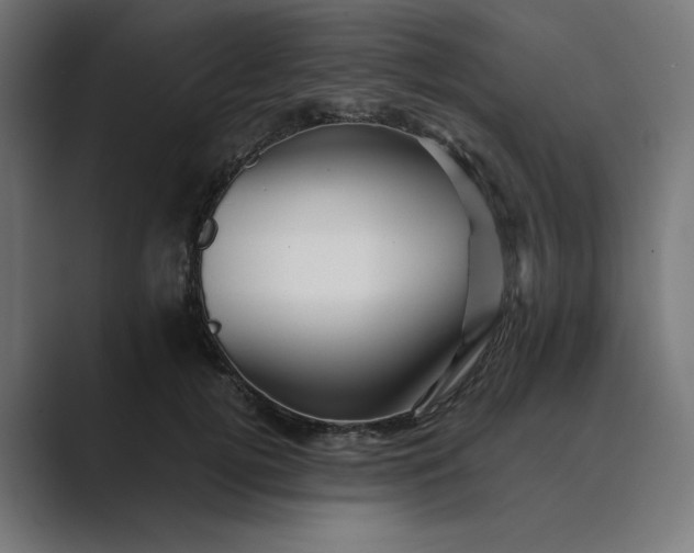 X0000089440752200706291425