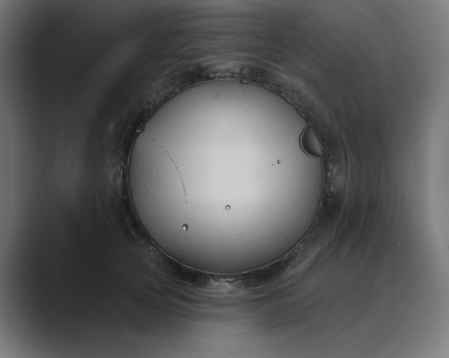 X0000089440753200706291425