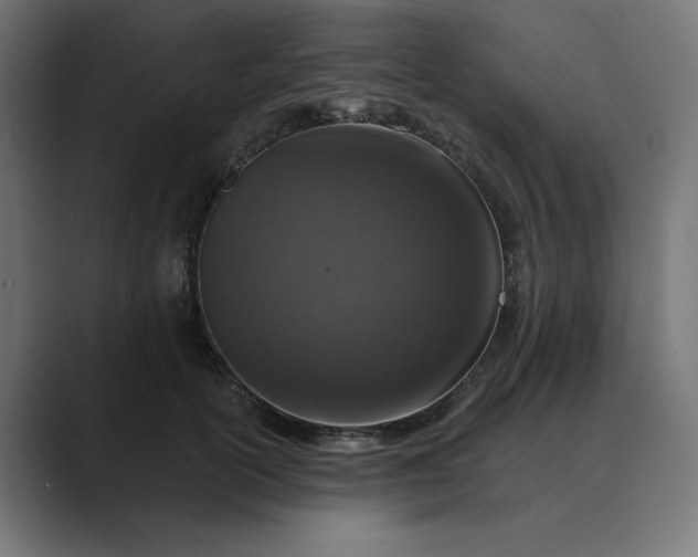 X0000089440754200706291425