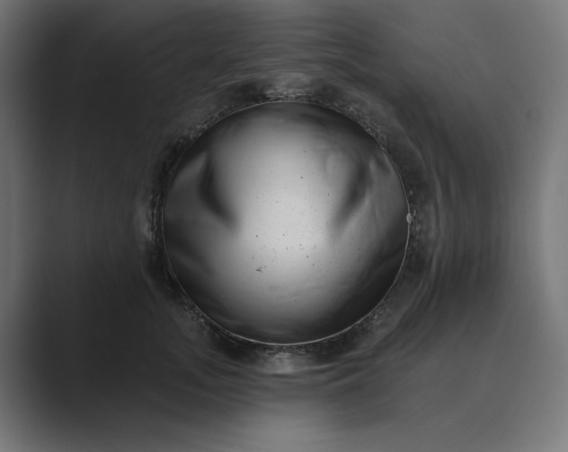 X0000089440755200706291425